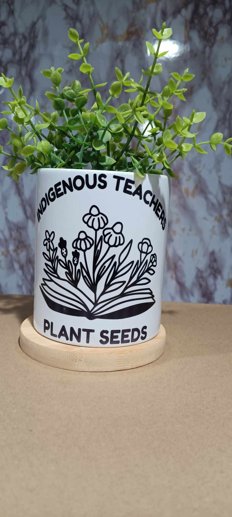 Indigenous Teacher
